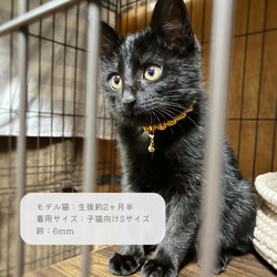 軽くてやわらかい手編みの猫首輪＊オレンジのウェーブライン〜子猫・初めての首輪にも〜 5枚目の画像