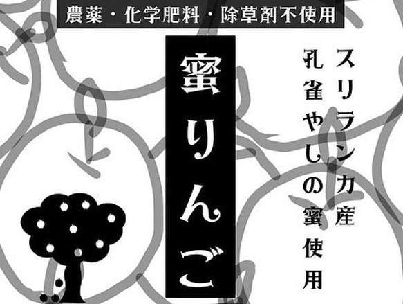 【期間限定】熊本阿蘇産　オーガニックキトルシロップだけで作った農薬不使用蜜りんご【砂糖不使用】 2枚目の画像