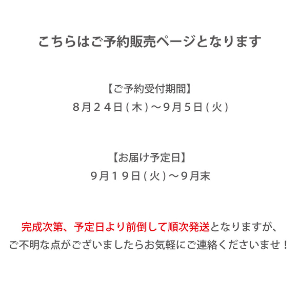 [預訂/9月下旬發貨] [每月第3卷]可愛的最高點♪優雅時尚的Birkin手提包[Kyorome] 第2張的照片