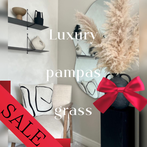SALE】特大4本 1本おまけ 秋のインテリアに パンパスグラス ドライ