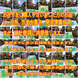 レア 帯 小判 伊勢神宮 杉 切らずに一匹 白蛇 お守り 大帯 純金 金 鳳凰 孔雀 梟 羽 財布 水晶 虹の衣 縁起物 9枚目の画像