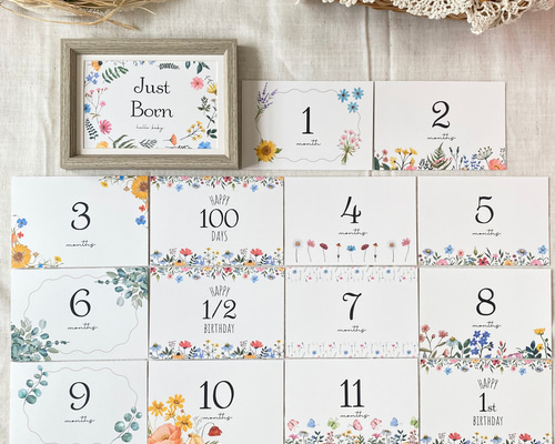 ひまわりページ　マンスリーカード 楽天市場】ベビーマンスリーカード 18枚セット（5歳まで）design3