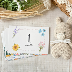 【送料無料】(y flower B.マンスリーカード　月齢カード　花　ボタニカル　横　横向き 6枚目の画像