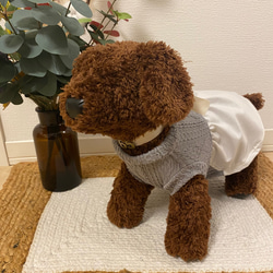 犬服　ニット　シフォンワンピース　 7枚目の画像