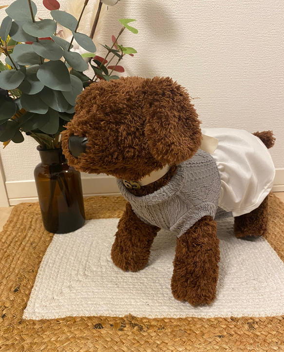 犬服　ニット　シフォンワンピース　 7枚目の画像