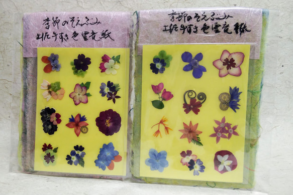 季節のそえぶみ｢夏｣　土佐手漉き和紙メッセージカード　押し花シール付き　グリーティングカード 11枚目の画像