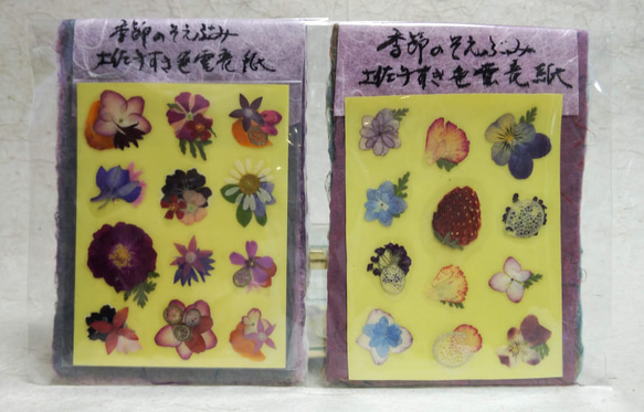 季節のそえぶみ｢夏｣　土佐手漉き和紙メッセージカード　押し花シール付き　グリーティングカード 12枚目の画像