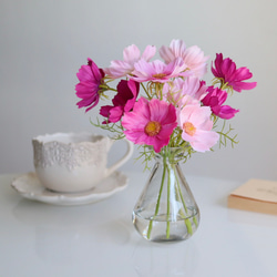 《ずっと咲いてる》リボン付き花瓶のデスクに置ける3色コスモス〈無料ギフトラッピング〉 5枚目の画像