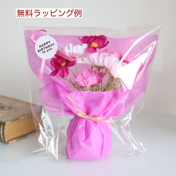 《ずっと咲いてる》リボン付き花瓶のデスクに置ける3色コスモス〈無料ギフトラッピング〉 7枚目の画像
