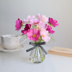 《ずっと咲いてる》リボン付き花瓶のデスクに置ける3色コスモス〈無料ギフトラッピング〉 4枚目の画像