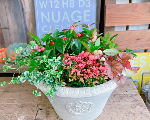 79783a2712e5b8ac31559f5fe6cff5