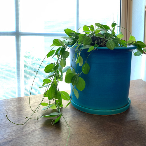 植木鉢L ターコイズブルー 受け皿付き 一輪挿し・花瓶・花器