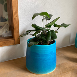 植木鉢 ターコイズブルー 受け皿付き その他インテリア雑貨 mayumi