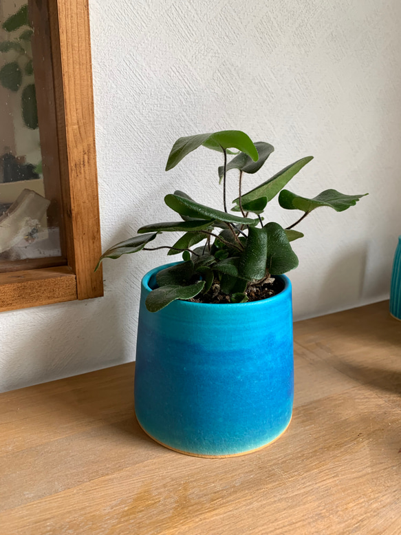 植木鉢 ターコイズブルー 受け皿付き その他インテリア雑貨 mayumi