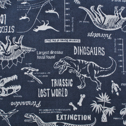 ４５×３５恐竜大きめレッスンバッグ　渋かっこいい　恐竜と化石　ネイビーブルー　入園★入学 3枚目の画像
