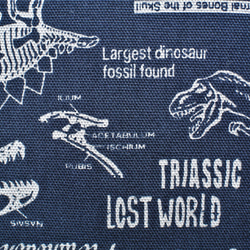 ４５×３５恐竜大きめレッスンバッグ　渋かっこいい　恐竜と化石　ネイビーブルー　入園★入学 2枚目の画像