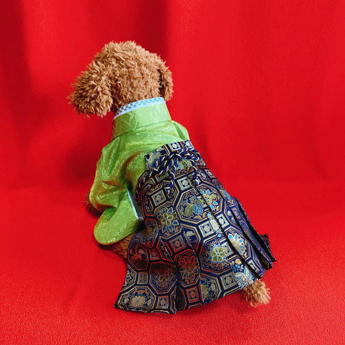 激安通販の 犬の袴✨犬用本格着物&袴セット お正月 七五三 金襴 若草色×紺系 犬服・アクセサリー