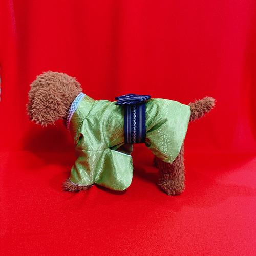 犬の袴✨犬用本格着物&袴セット 若草色×紺系 金襴 七五三 お正月