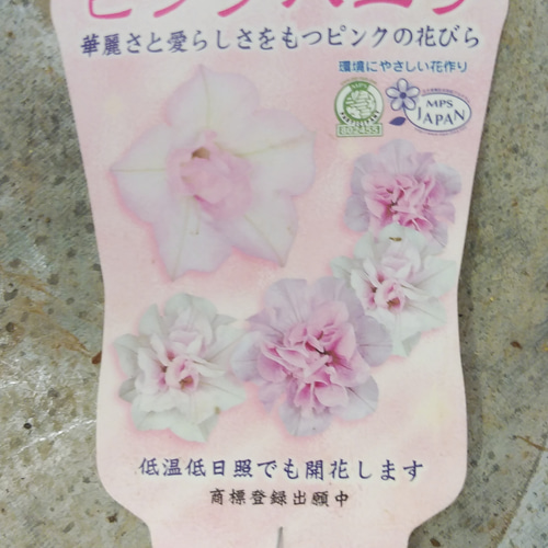 夏☀︎SALE！アナベルとピンクのミルフィーユガーランド 夏☀︎SALE！アナベルとピンクのミルフィーユガーランド 【公式通販】