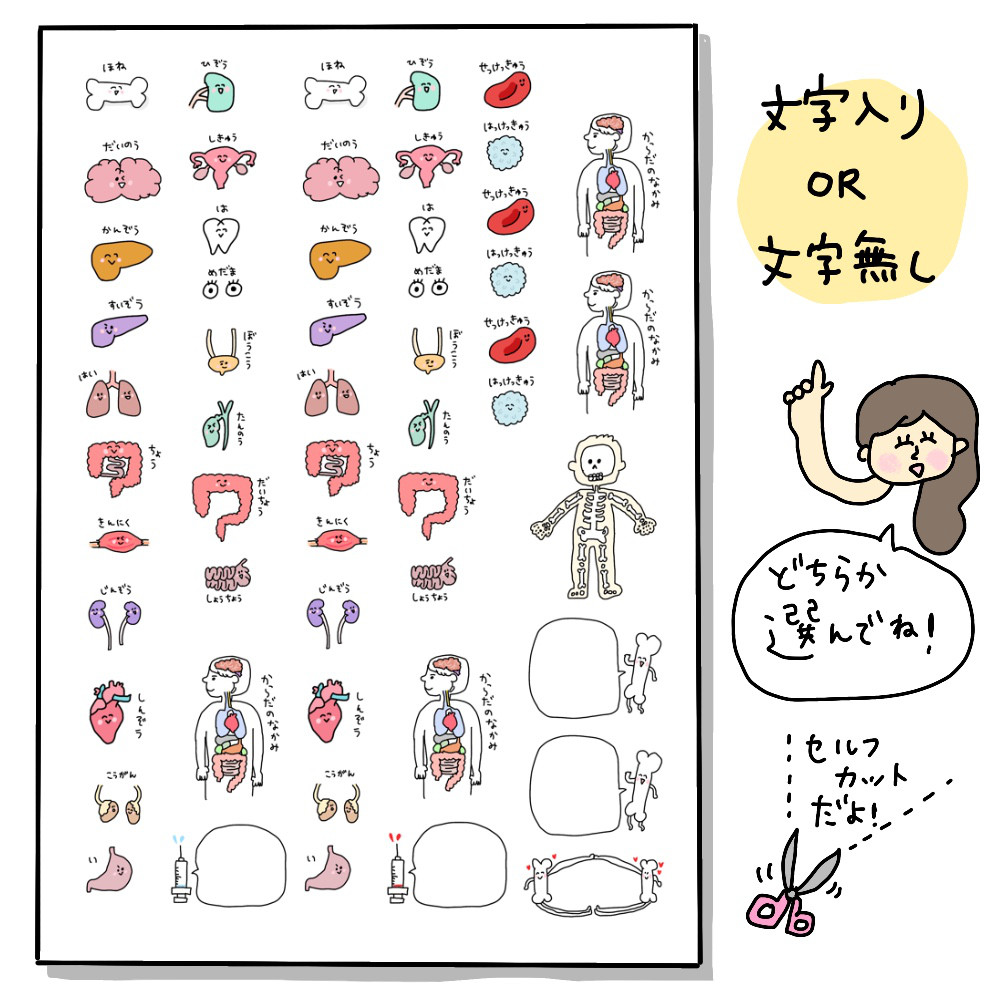 肝臓 臓器 手作り キーホルダー 看護 可愛い臓器シール⭐︎セルフ