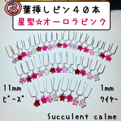 ③星型★オーロラピンク系☆葉挿しピン４０本 1枚目の画像