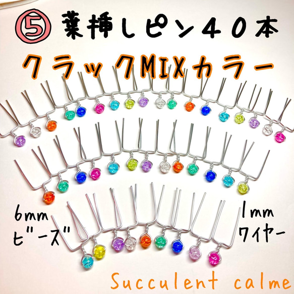 ⑤クラックMIXカラー☆葉挿しピン４０本 1枚目の画像