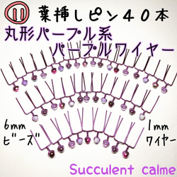 ⑪丸型パープル系★紫色ワイヤー☆葉挿しピン４０本 1枚目の画像