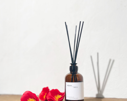 72c899698233a3aff17aabd11feb4e