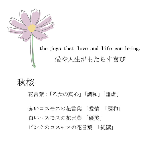 コスモス ポストカード 花言葉 ポスター メッセージカード ポスト