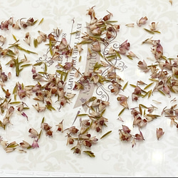 人気花材エリカドライフラワーパーツ販売❣️ハンドメイド花材 1枚目の画像