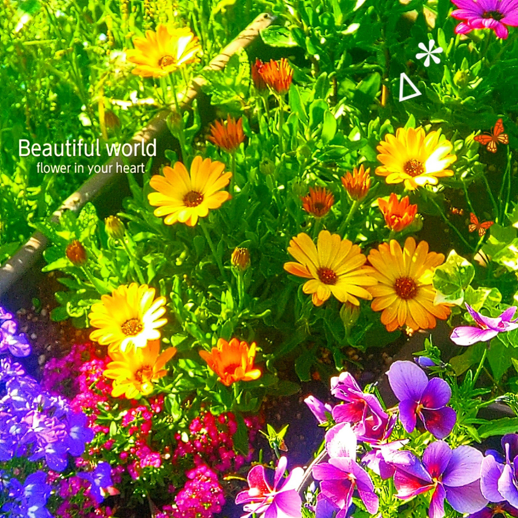 my grace  SWAROVSKI CRYSTAL