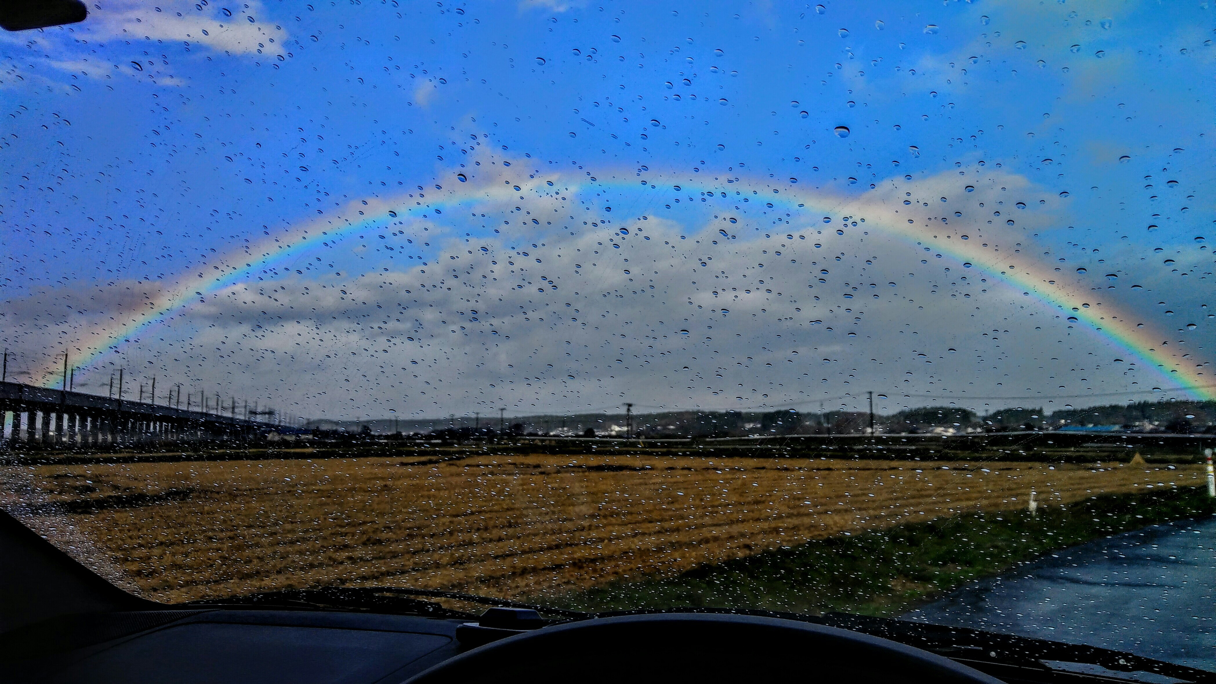 my grace  SWAROVSKI CRYSTAL