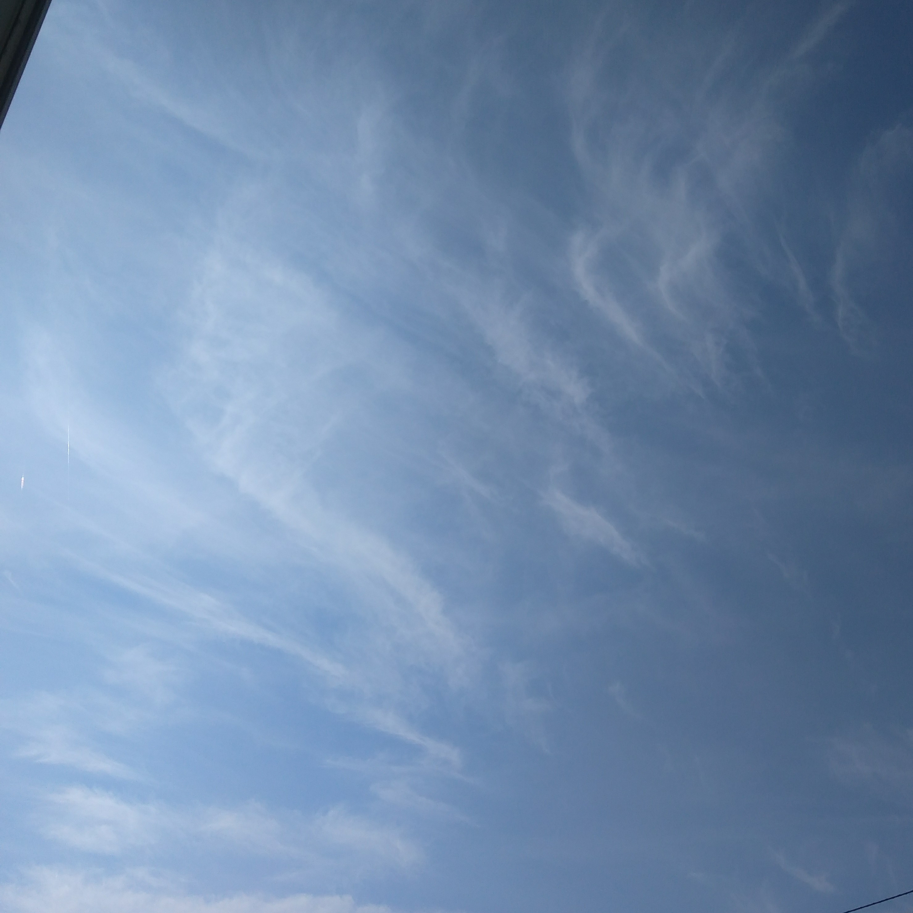 my grace  SWAROVSKI CRYSTAL