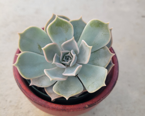 c8d7b0144eab2bf5b4f9bd4debb14d