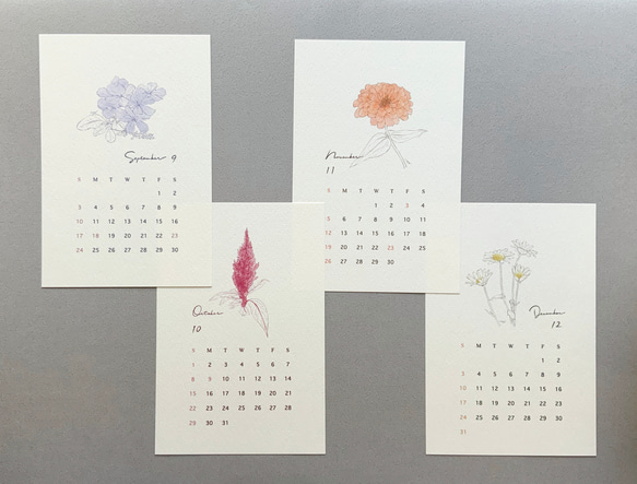 2023 フラワーカレンダー 12ヶ月の花 はがきサイズ　封筒付き【C】 6枚目の画像