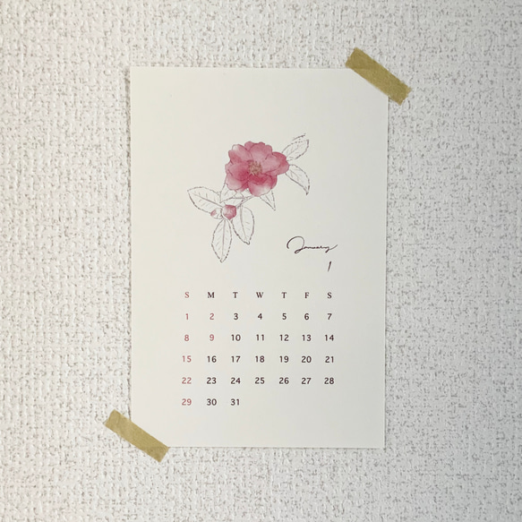 2023 フラワーカレンダー 12ヶ月の花 はがきサイズ　封筒付き【C】 7枚目の画像