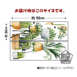 300 壁ステッカー ウォールステッカー トロピカルプランツ 観葉植物 サンスベリア アレカヤシ 椰子 ヘデラ リーフ 5枚目の画像