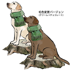 【受注生産】マフラー犬シリーズ 長そでTシャツ　コーギー　パグ　ペキニーズ　柴犬　チワワ　プードル　ビーグル 10枚目の画像