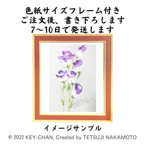 きょうの花「トルコキキョウ」(色紙)作品番号BF0930 絵画 キー