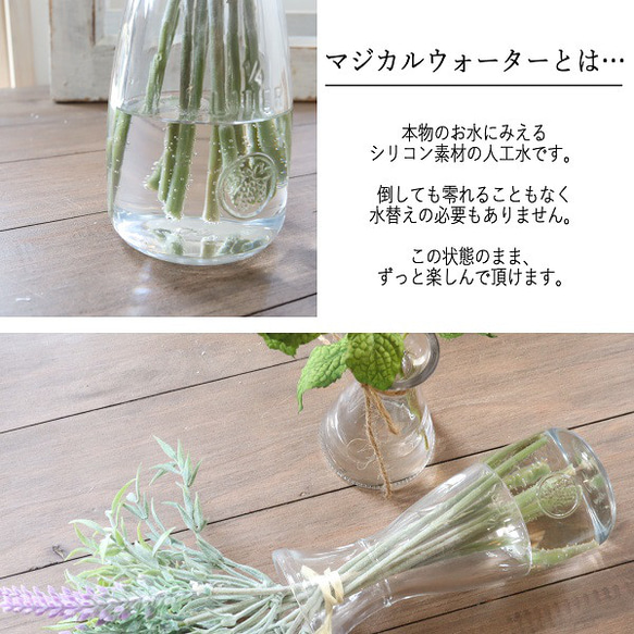 魔法の水 ミモザ　マジカルウォーター　mimoza fuji 春の訪れ　プチギフト　インテリア　 4枚目の画像
