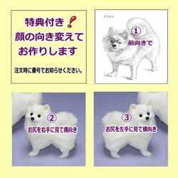 犬の日 2023 スピッツ・愛犬ギフトに リアルフアーのぬぃぐめみ 羊毛フエルト製品ではない【再販・受注制作】 7枚目の画像