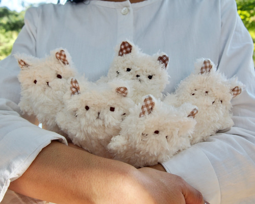 e3681086923451c65fa5b90744f7c3