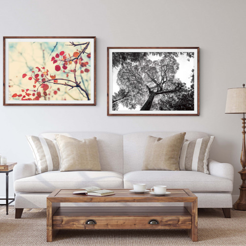 ポスター【PHOTO_21】インテリアに季節の写真ポスター。山 風景 自然