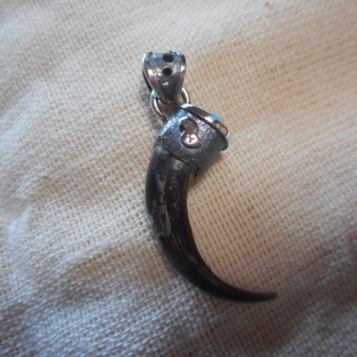 ワシの爪　イーグルクロー　イーグルクロウ　本物 ワシの爪 イーグルクロー イーグルクロウ 本物