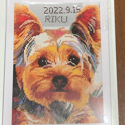 ダイヤモンドアート ヨークシャお名前入れます。完成品 ペット服  