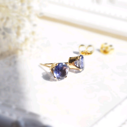 ゆりちゃんページ✧希少ブルーアンバー＆超希少アフガナイトのピアスチャーム 14Kgf❩ 希少ブルーアンバー＆超希少アフガナイトのピアス