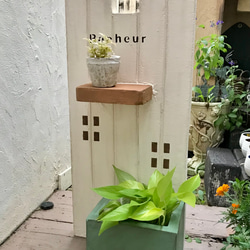 光触媒 人工観葉植物 ウォールグリーン フェイクグリーン サラサ