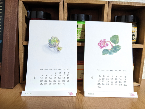 2023年カレンダー【山野草イラスト＆活版印刷文字】はがきサイズ【ホワイト】 5枚目の画像
