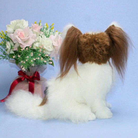 犬の日 2023 世界で一体のパピヨン・天使のようなシルキーコート・ふんわりと広がる立ち耳 製品は ふんわりと広がる立ち耳 補足 しないでください