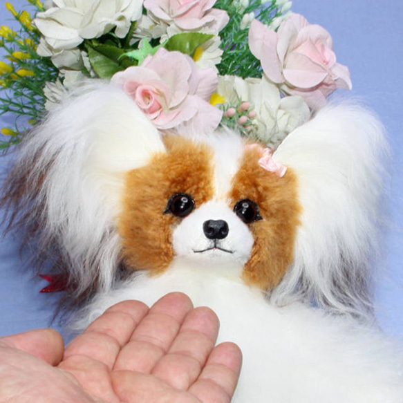 犬の日 2023 世界で一体のパピヨン・天使のようなシルキーコート・ふんわりと広がる立ち耳 製品は ふんわりと広がる立ち耳 補足 しないでください